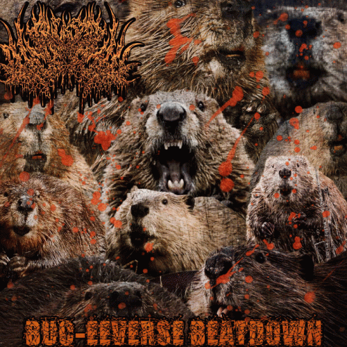 Truckstop Dickpill : Buc-Eeverse Beatdown